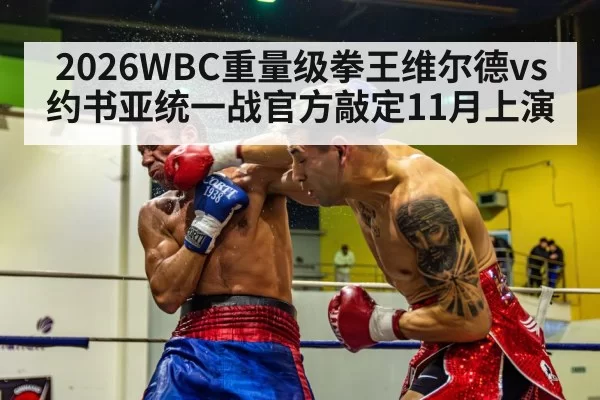 boxing knockout punch(xingkongyule)