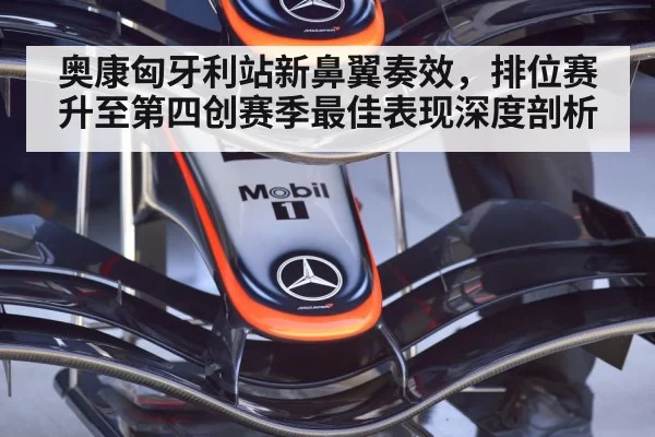 Formula 1 front wing detail（xingkongyule）
